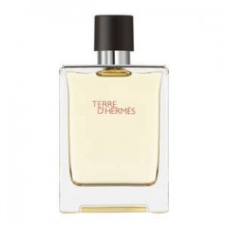 Terre d'Hermès Edt